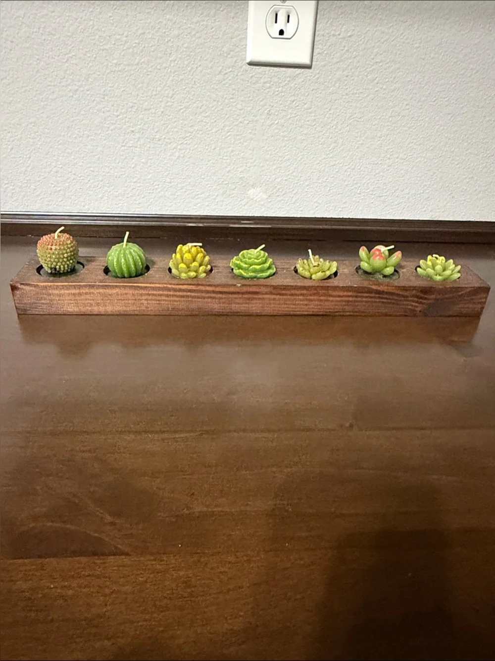 Succulent Planter with 7 succulent candles
